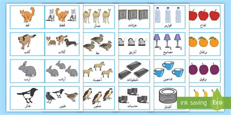 بطاقات المُفرد والجمع في اللغة العربية موارد تعليمية عربية