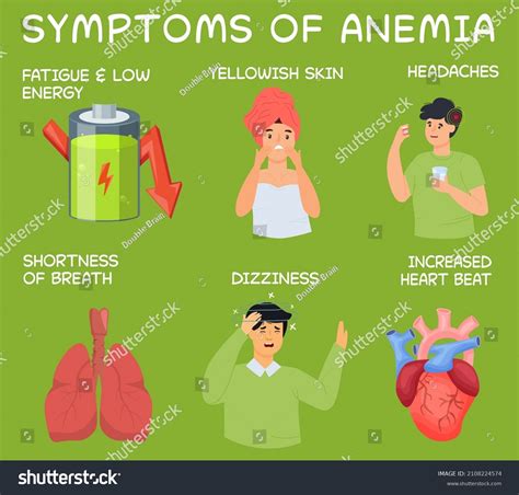 common symptoms anemia breath shortness fatigue stock vector royalty