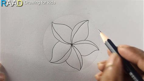 draw flower  color kathgolap ful drawing easy youtube