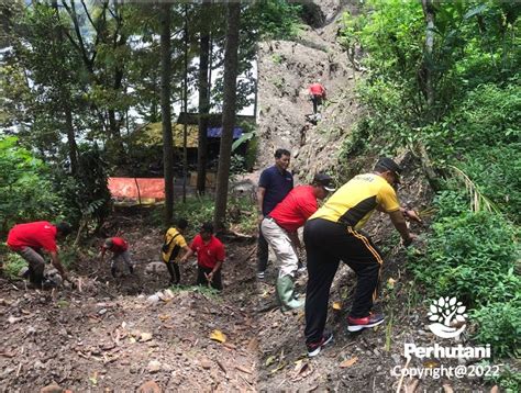 Perhutani Perhutani Bersama Stakeholders Tanam Rumput Vetiver Di Lokasi