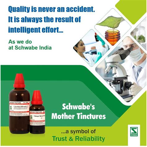 Buy Drwillmar Schwabe India Sabal Serrulata Mother Tincture 2 X 30ml Online And Get Upto 60