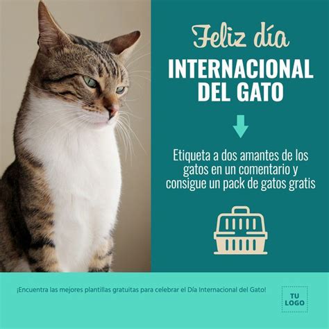 Carteles De Día Internacional Del Gato Día Internacional Del Gato Gatos Amantes De Los Gatos