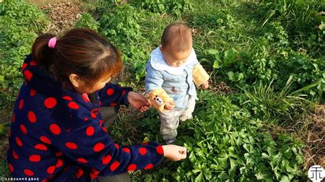 这种野草长在河沟边，是农村常见的“毒草”，它的用处却不小