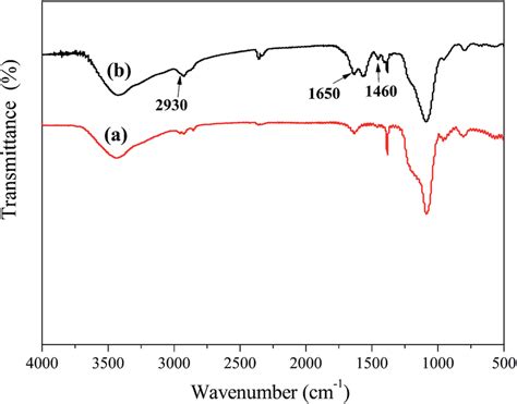 Ft Ir Spectra Of Au Rod Sio After Nh No Ch Oh Extraction A