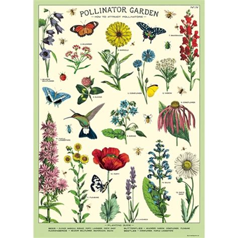 New Cavallini Decorative Paper Pollinators X Sheet