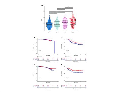 Cytolytic Score Cyt And Survival Analysis According To Pam50 Subtypes Download Scientific