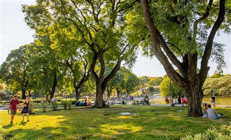 Parque Centenario El Centro De Las Propuestas Culturales Peri Dico