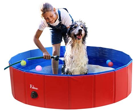 Top 5 Picks Of Dog Pools For Large Dogs | Herepup