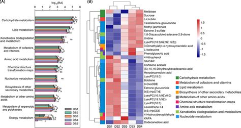 Relative Spectral Abundances Of Metabolism Pathway Related Metabolites