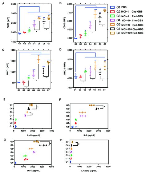 Rad GBS Enhances The Activation Of BM DCs In Comparison To That With