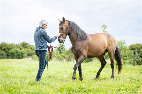 Le Reculer Un Exercice Clé Pour Le Respect Et La Confiance Cheval In