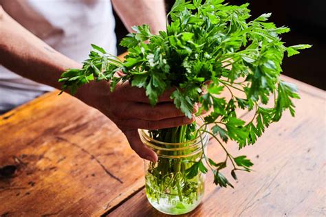 We Tried Methods For Storing Herbs And Found A Clear Winner The Kitchn