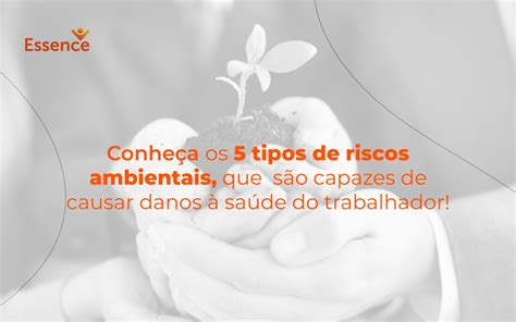 Conheça os 5 tipos de riscos ambientais que são capazes de causar