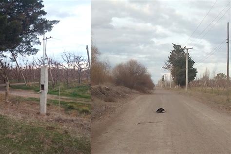 6 Horas Detenido Por Un Frustrado Robo De Cables En Zona Rural LCR