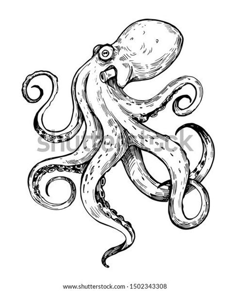 Octopus Sketch Hand Drawn Outline Converted Stock Vector Royalty Free