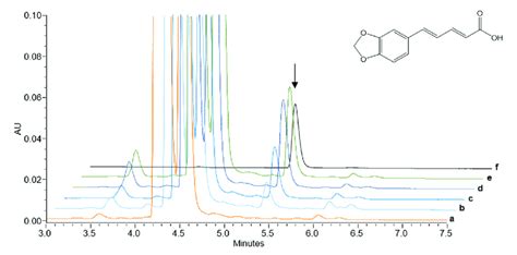 HPLC UV MS Analysis Of Microsomal Fractions Of PnCYP719 And PnCPR