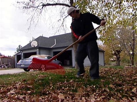 Tools for Fall Yard Work Video | DIY