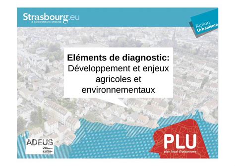 Pdf El Ments De Diagnostic D Veloppement Et Enjeux Agricoles Et