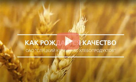 О компании - ОАО “Слуцкий Комбинат Хлебопродуктов”