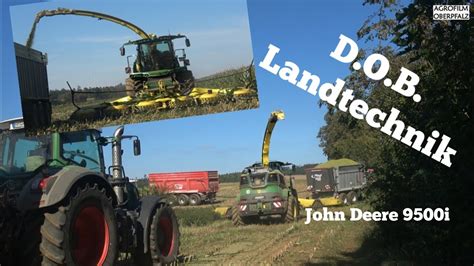 Hirsch Tobt Im Mais Xl Maisernte Mit John Deere I Dob