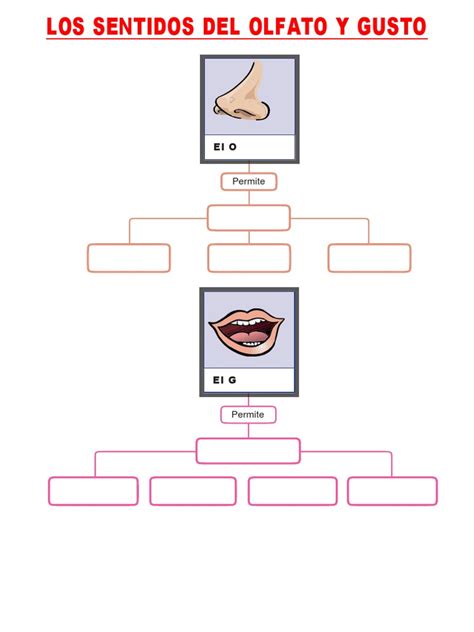 Los Sentidos Del Olfato Y Gusto Para Segundo Grado De Primaria Pdf