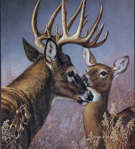 Pin By Ellen Bounds On A Doe A Deer A Female Deer Deer Artwork