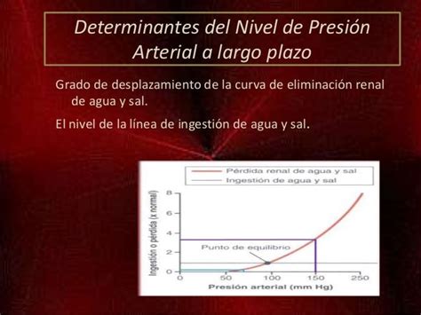 Control Presión Arterial A Largo Plazo Capítulo 19 Guyton Dr Joh