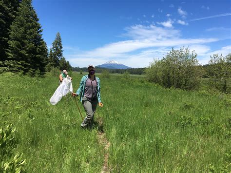 Upcoming Events — Vesper Meadow Education Program