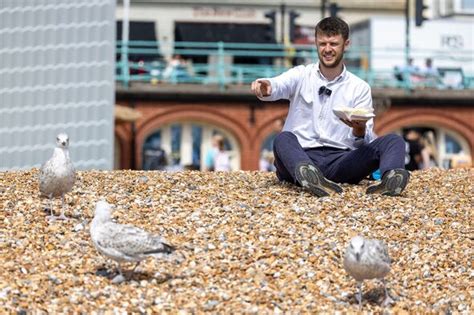 I Tried Ultimate Hack To Stop Seagulls Stealing Your Food Uk News