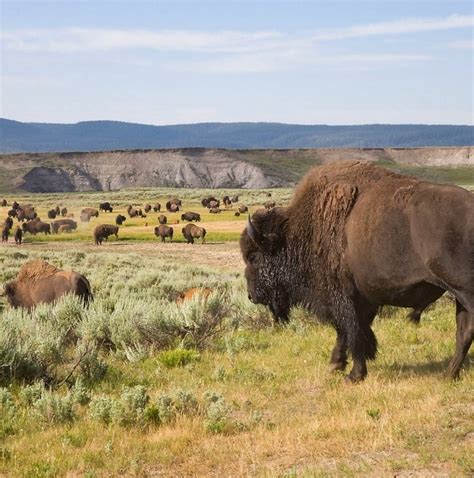 7 Best Tours & Trips from Salt Lake City to Denver 2025/2026 - TourRadar