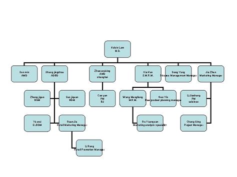 Pfizer Organizational Structure Chart