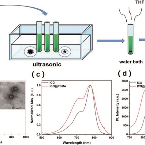 A The Scheme Of Preparation Of ICG PSMA NPs B DLS Measurement Of