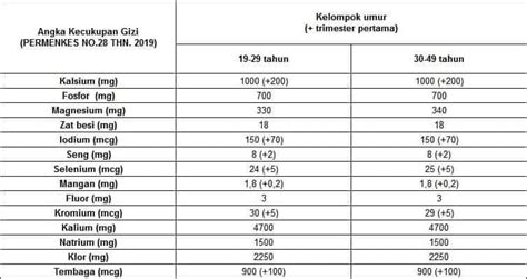 Ini Daftar Lengkap Kebutuhan Gizi Ibu Hamil Muda