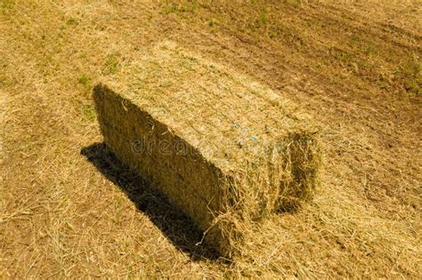 Large Square Hay Bale In A Field. Stock Image - Image of agricultural, agriculture: 183182375