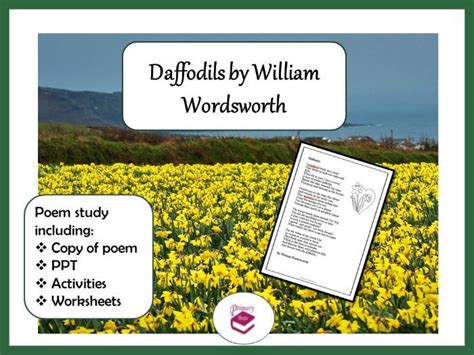 Daffodils By William Wordsworth Ppt Poem And Worksheets Teaching