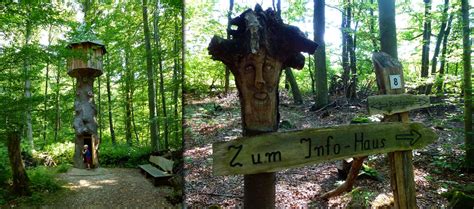 Der Naturpfad In Forstinning Spannender Wald Ausflug Mit Kindern