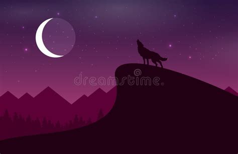 Wolf Howls At Night To The Moon Flat Vector Stock Vector Illustration