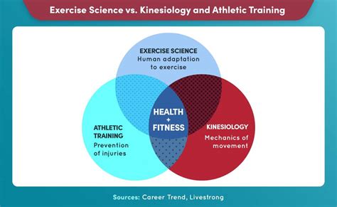 What Can I Do with an Exercise Science Degree? | Maryville Online