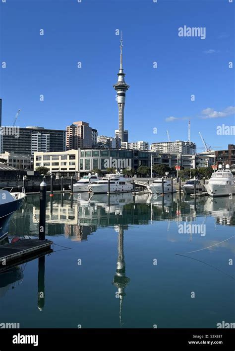 Auckland city with SkyTower Stock Photo - Alamy