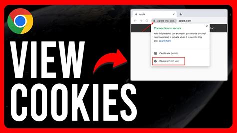 How To View Cookies In Chrome How To See All Cookies In Chrome YouTube