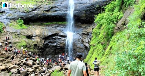 20 Best Waterfalls In Maharashtra Check List Now