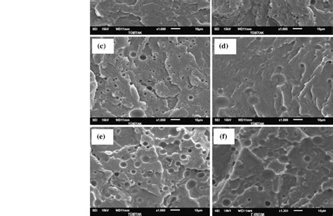 Sem Micrographs Of The Polymer Blends Fracture Surfaces A Pure Pla B