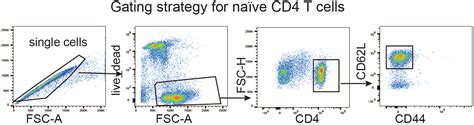 Cell Press Star Protocols