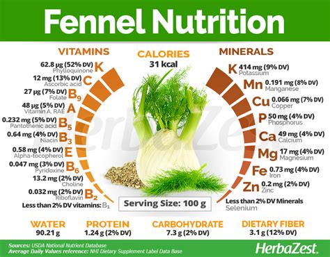 Fennel | HerbaZest