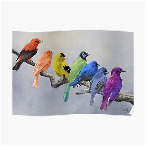 "Birds of all Colors" Poster for Sale by powersdesign | Redbubble