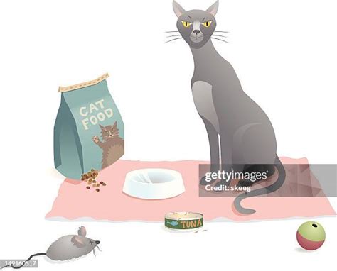 cat food funny   premium high res pictures getty images