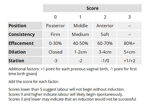 Bishop Scoring System S