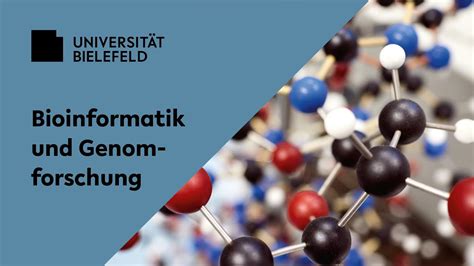 Bioinformatik und Genomforschung studieren an der Universität Bielefeld