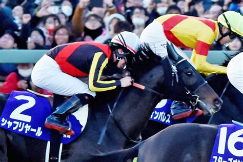 ダービー馬シャフリヤールは札幌記念に向けて来週に函館入り東スポ競馬 Goo ニュース