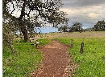 3 Best Hiking Trails in Temecula, CA - Expert Recommendations